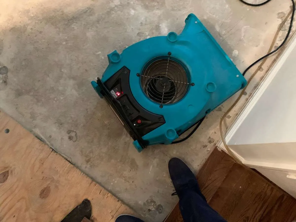 Air mover drying subfloor during Leak Detection & Repair in Martin